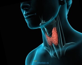 25 мая - Всемирный день заболеваний щитовидной железы